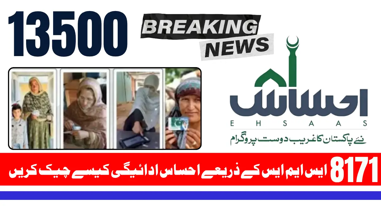 How to Check Ehsaas Payment by CNIC via 8171 SMS Complete Guide 2025
